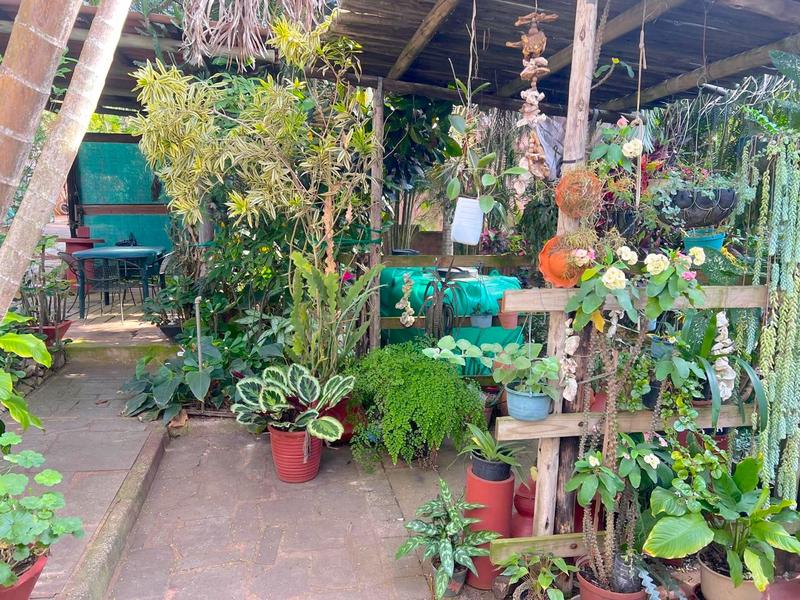 5 Bedroom Property for Sale in Marina Beach KwaZulu-Natal