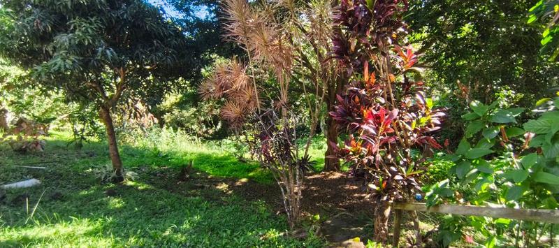 4 Bedroom Property for Sale in Glenmore Beach KwaZulu-Natal