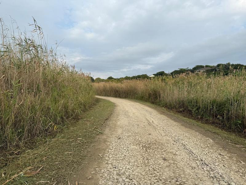0 Bedroom Property for Sale in Mtunzini KwaZulu-Natal
