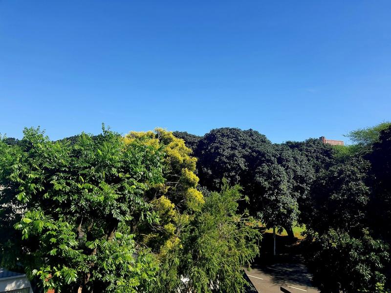 2 Bedroom Property for Sale in Musgrave KwaZulu-Natal