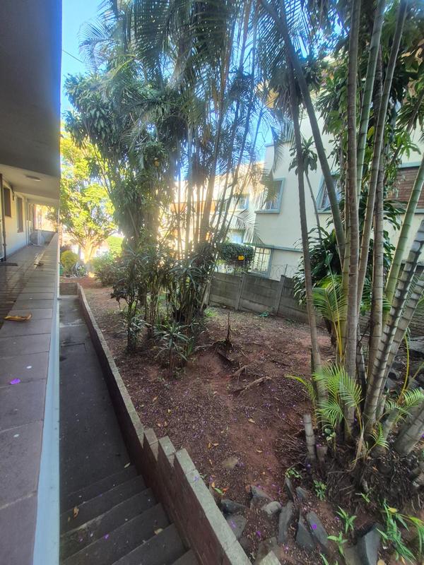 2 Bedroom Property for Sale in Musgrave KwaZulu-Natal