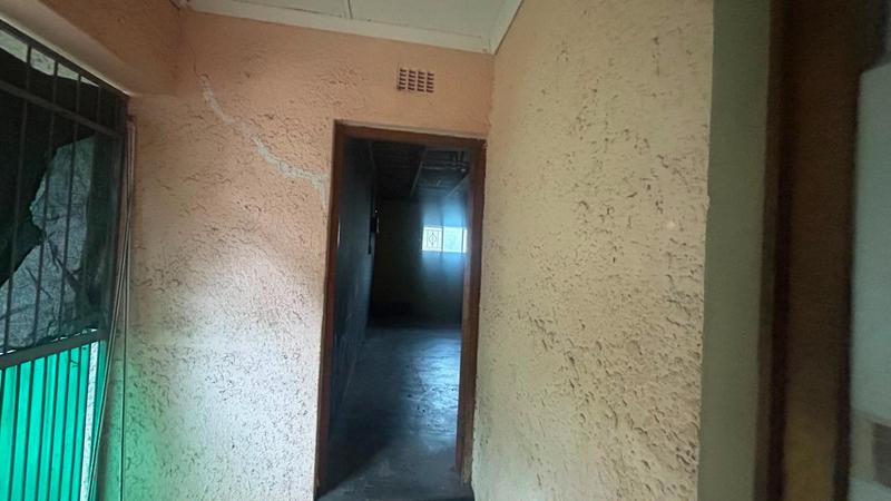 To Let 3 Bedroom Property for Rent in Arboretum KwaZulu-Natal