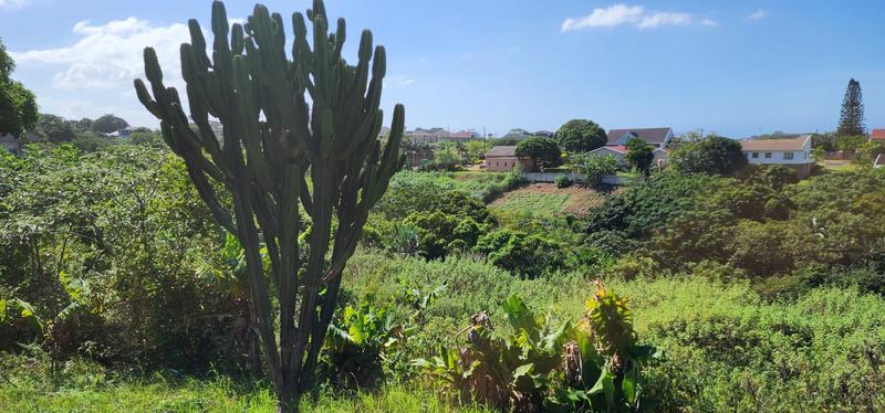 To Let 0 Bedroom Property for Rent in Craigieburn KwaZulu-Natal