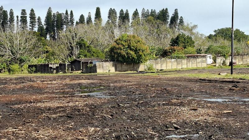 To Let 0 Bedroom Property for Rent in Nseleni KwaZulu-Natal