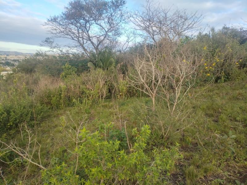 0 Bedroom Property for Sale in Ngwelezana KwaZulu-Natal