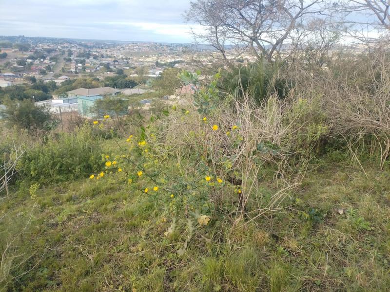 0 Bedroom Property for Sale in Ngwelezana KwaZulu-Natal