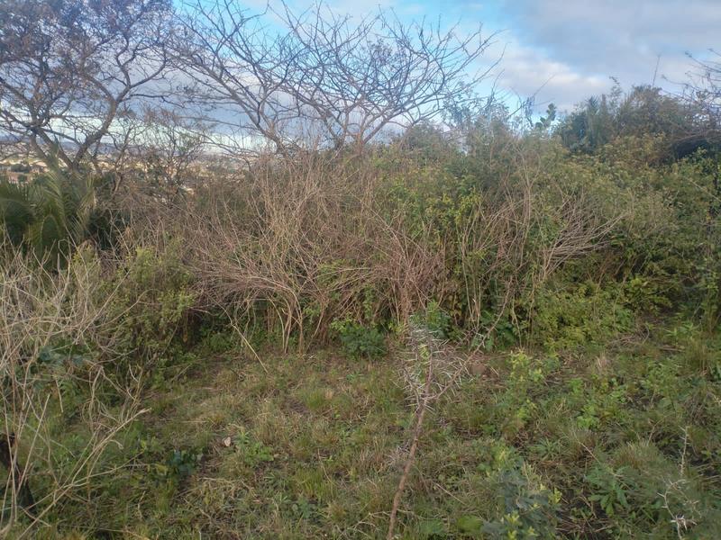 0 Bedroom Property for Sale in Ngwelezana KwaZulu-Natal