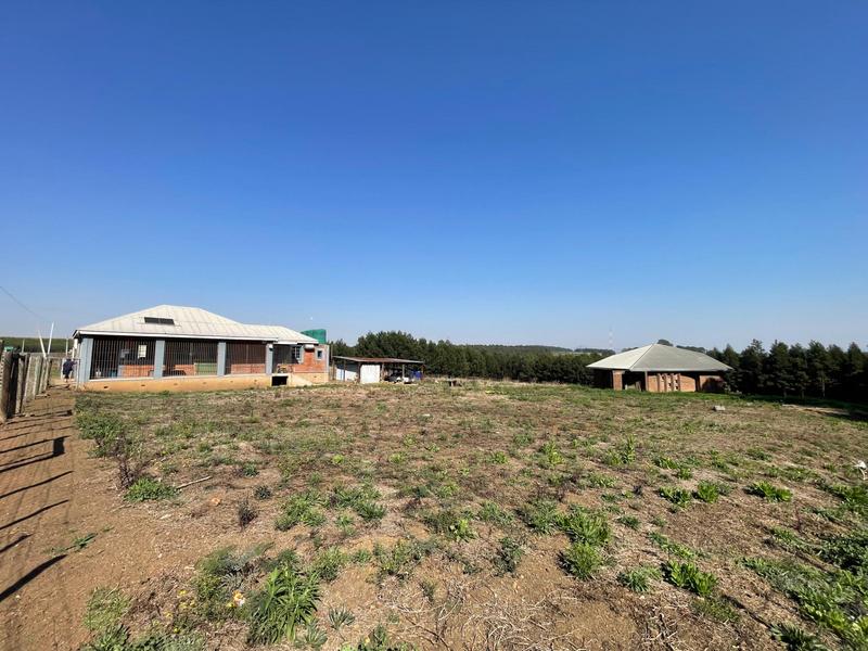 0 Bedroom Property for Sale in Greytown KwaZulu-Natal