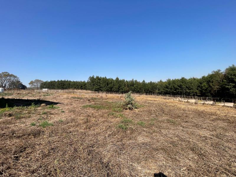 0 Bedroom Property for Sale in Greytown KwaZulu-Natal