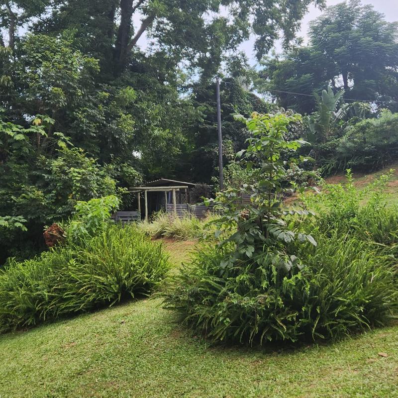 4 Bedroom Property for Sale in Umtentweni KwaZulu-Natal