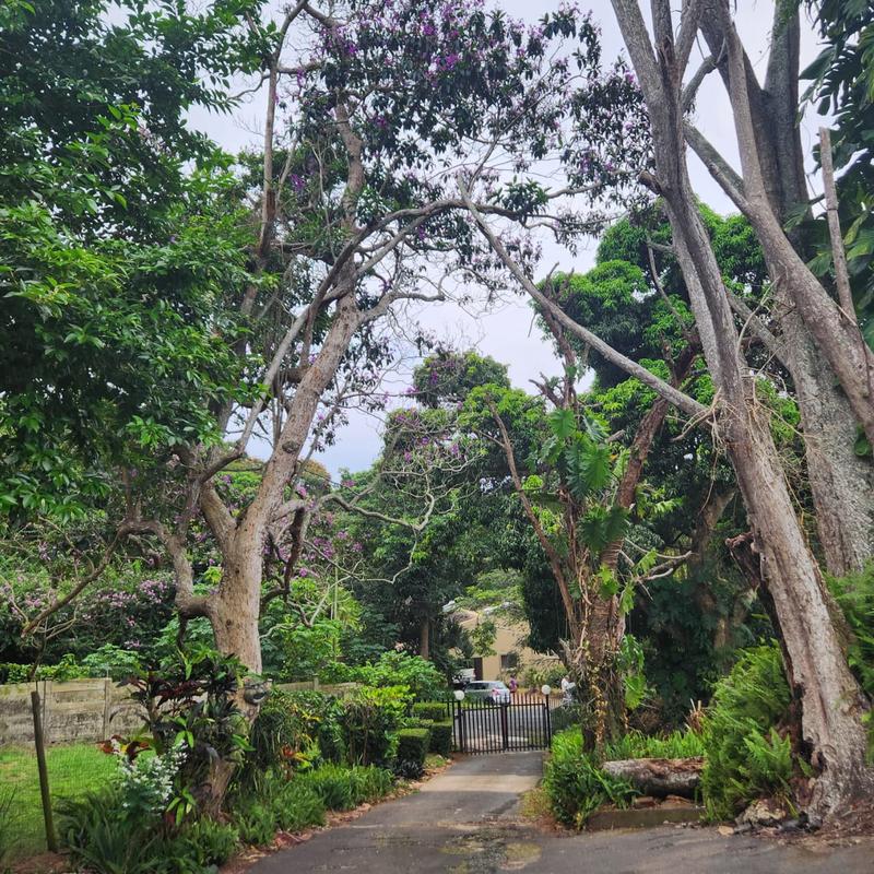4 Bedroom Property for Sale in Umtentweni KwaZulu-Natal