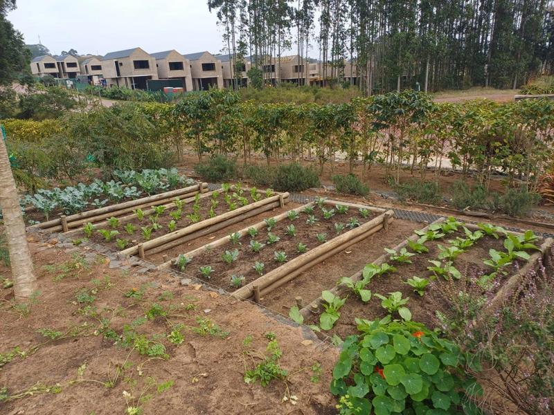 To Let 2 Bedroom Property for Rent in Sheffield Beach KwaZulu-Natal