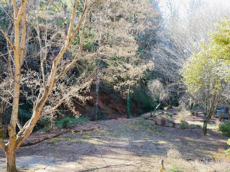 Commercial Property for Sale in Underberg KwaZulu-Natal