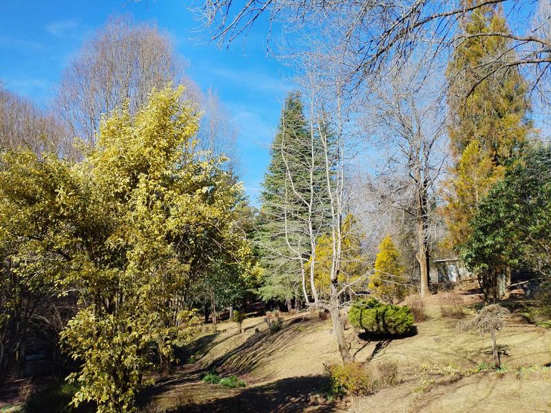 Commercial Property for Sale in Underberg KwaZulu-Natal