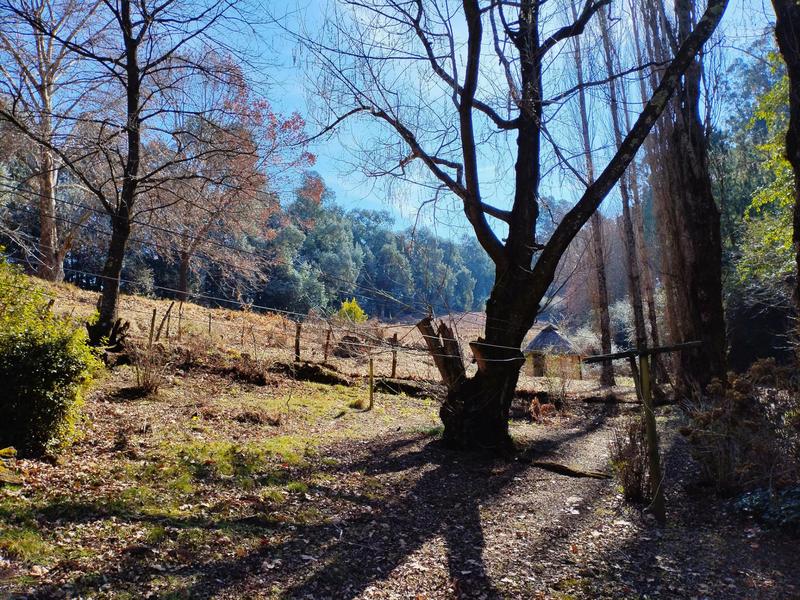 Commercial Property for Sale in Underberg KwaZulu-Natal