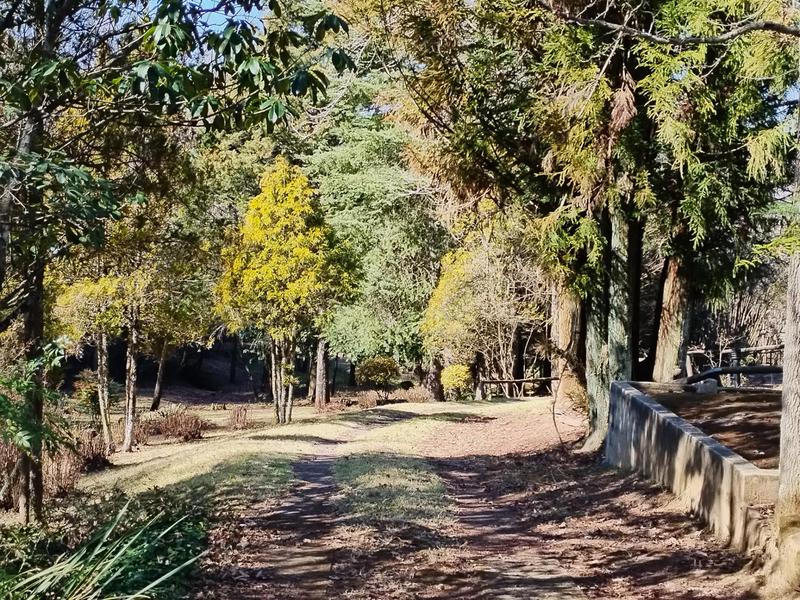 Commercial Property for Sale in Underberg KwaZulu-Natal