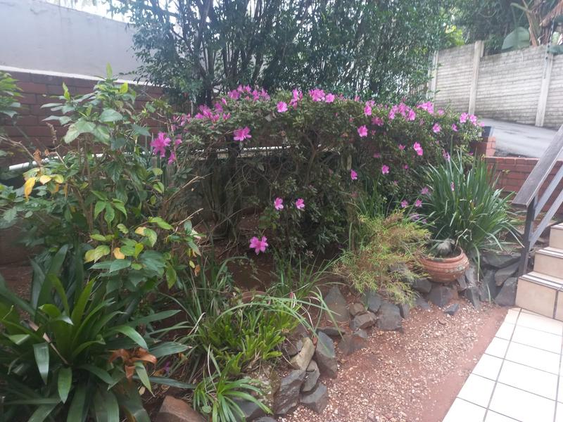 To Let 2 Bedroom Property for Rent in Musgrave KwaZulu-Natal