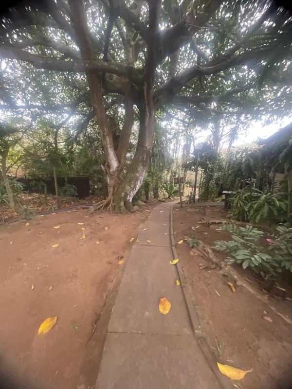 To Let 2 Bedroom Property for Rent in Kingsburgh KwaZulu-Natal