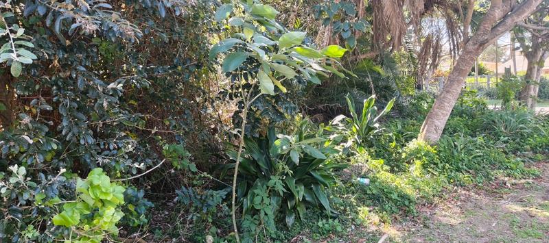 0 Bedroom Property for Sale in Glenmore Beach KwaZulu-Natal