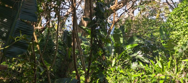 0 Bedroom Property for Sale in Glenmore Beach KwaZulu-Natal