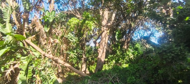 0 Bedroom Property for Sale in Glenmore Beach KwaZulu-Natal
