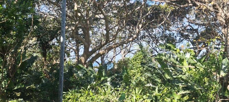 0 Bedroom Property for Sale in Glenmore Beach KwaZulu-Natal