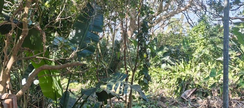 0 Bedroom Property for Sale in Glenmore Beach KwaZulu-Natal