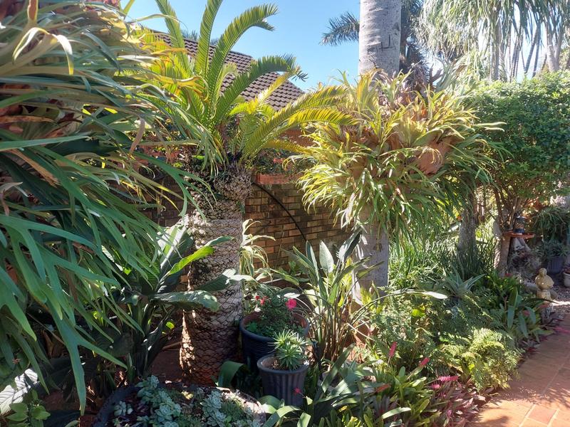 5 Bedroom Property for Sale in Empangeni Central KwaZulu-Natal