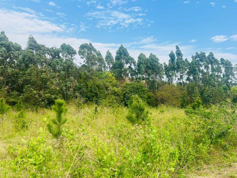 0 Bedroom Property for Sale in Ongoye KwaZulu-Natal