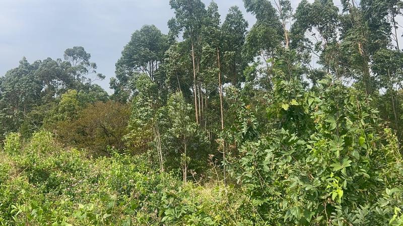 0 Bedroom Property for Sale in Ongoye KwaZulu-Natal