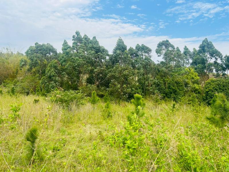 0 Bedroom Property for Sale in Ongoye KwaZulu-Natal