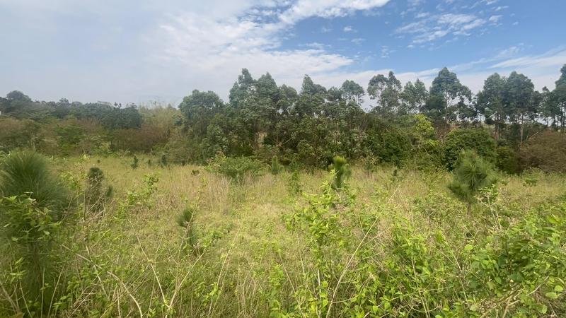 0 Bedroom Property for Sale in Ongoye KwaZulu-Natal