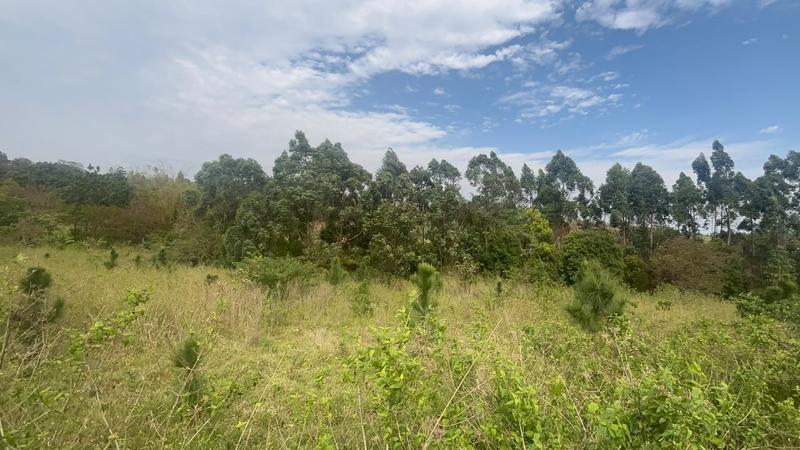 0 Bedroom Property for Sale in Ongoye KwaZulu-Natal