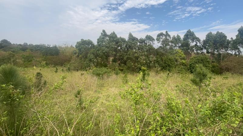 0 Bedroom Property for Sale in Ongoye KwaZulu-Natal