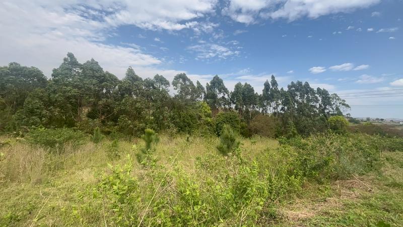 0 Bedroom Property for Sale in Ongoye KwaZulu-Natal