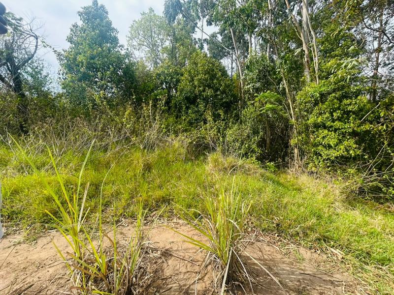 0 Bedroom Property for Sale in Ongoye KwaZulu-Natal
