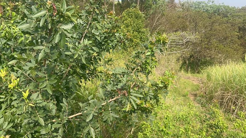 0 Bedroom Property for Sale in Ongoye KwaZulu-Natal