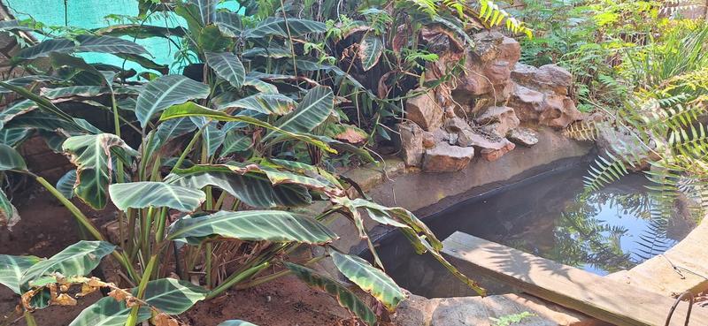 3 Bedroom Property for Sale in Widenham KwaZulu-Natal