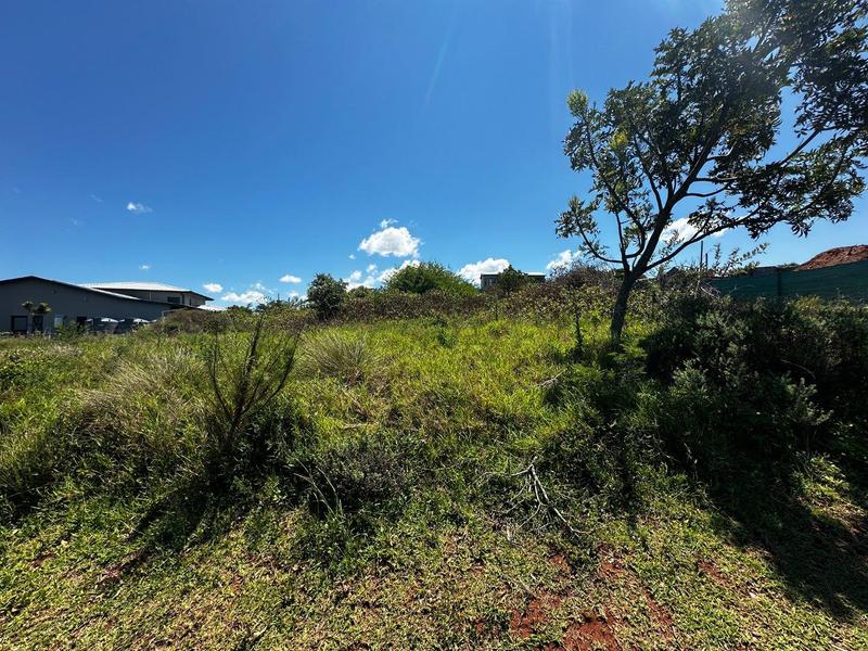 0 Bedroom Property for Sale in Zini River Estate KwaZulu-Natal