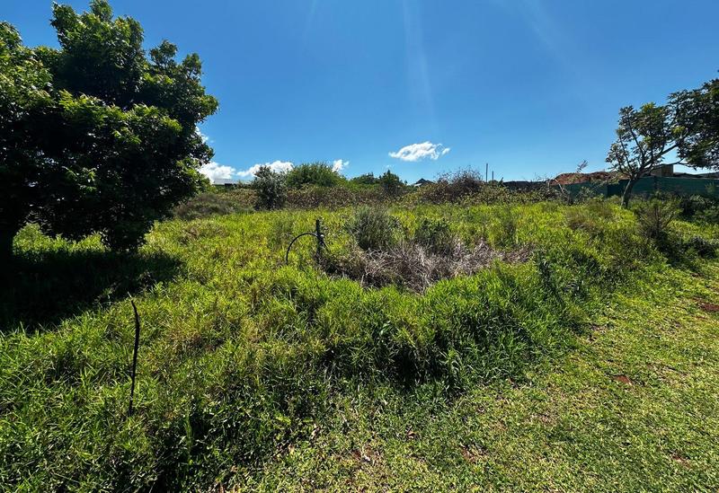 0 Bedroom Property for Sale in Zini River Estate KwaZulu-Natal