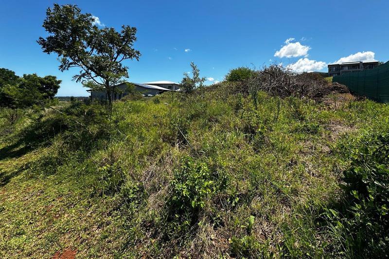 0 Bedroom Property for Sale in Zini River Estate KwaZulu-Natal