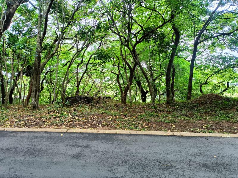 0 Bedroom Property for Sale in Simbithi Eco Estate KwaZulu-Natal