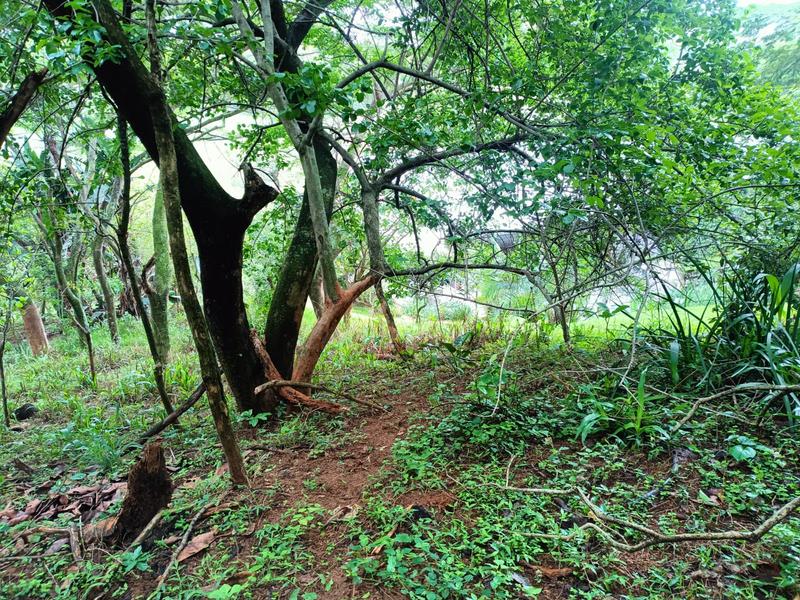 0 Bedroom Property for Sale in Simbithi Eco Estate KwaZulu-Natal