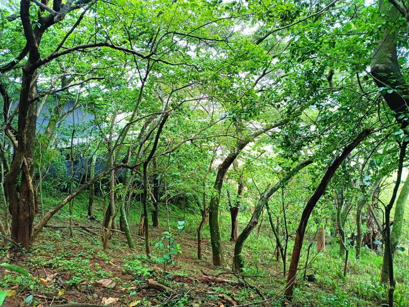 0 Bedroom Property for Sale in Simbithi Eco Estate KwaZulu-Natal