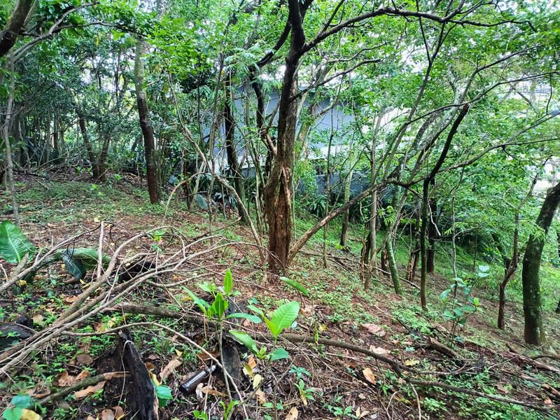0 Bedroom Property for Sale in Simbithi Eco Estate KwaZulu-Natal
