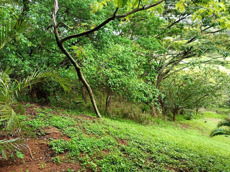 0 Bedroom Property for Sale in Simbithi Eco Estate KwaZulu-Natal