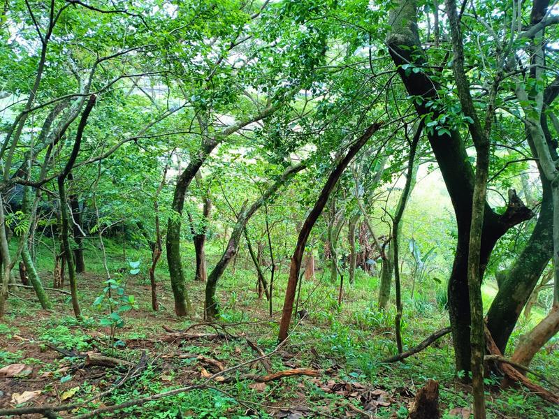 0 Bedroom Property for Sale in Simbithi Eco Estate KwaZulu-Natal
