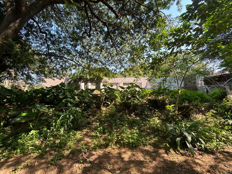 0 Bedroom Property for Sale in Mtunzini KwaZulu-Natal