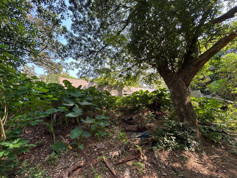 0 Bedroom Property for Sale in Mtunzini KwaZulu-Natal