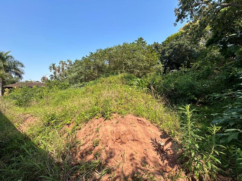 0 Bedroom Property for Sale in Mtunzini KwaZulu-Natal
